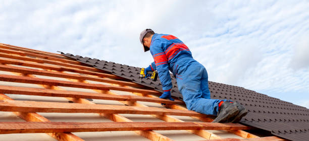 Best Roof Moss and Algae Removal  in Lake Waccamaw, NC